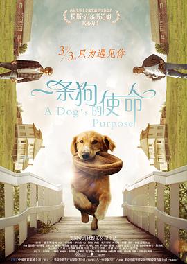 av女优免费